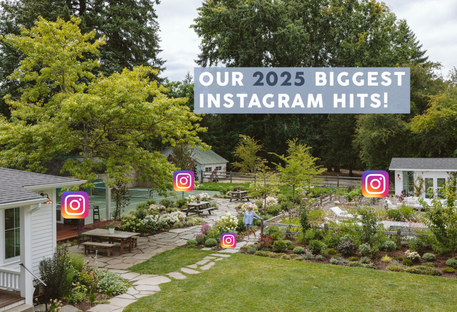 instagram posts