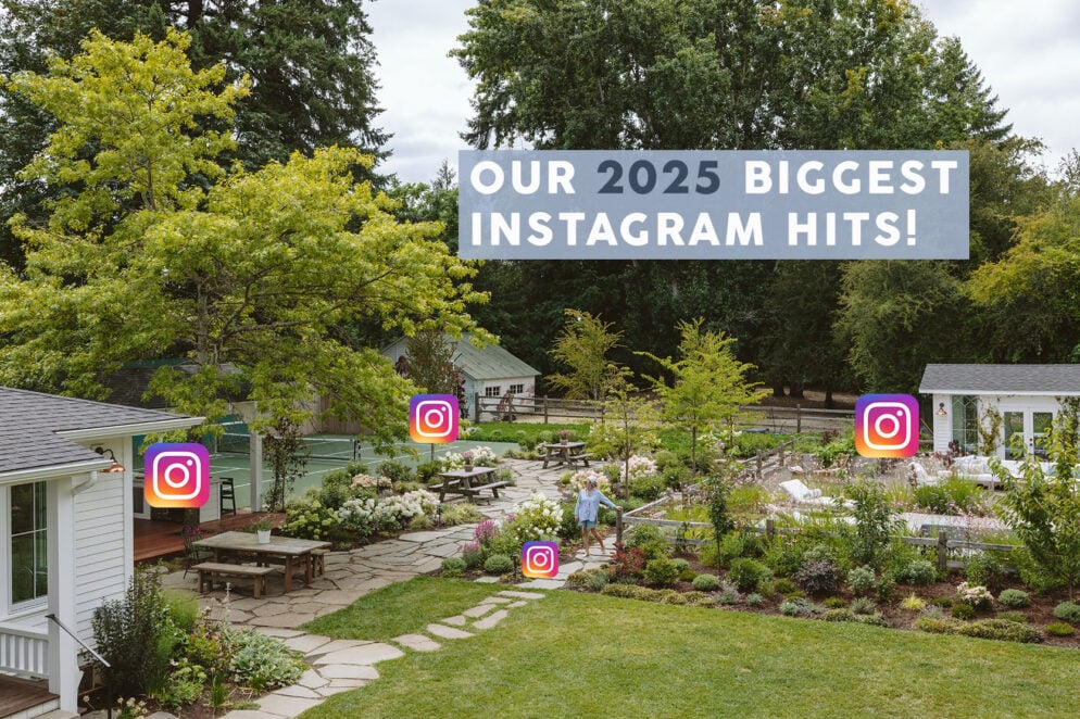 instagram posts