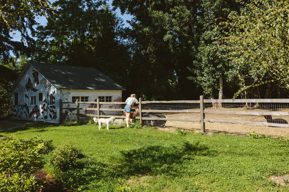 clover lawn